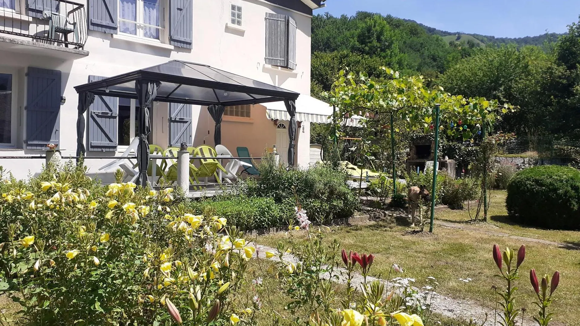 Le Lys Dans La Vallee D Ustou Frankrijk